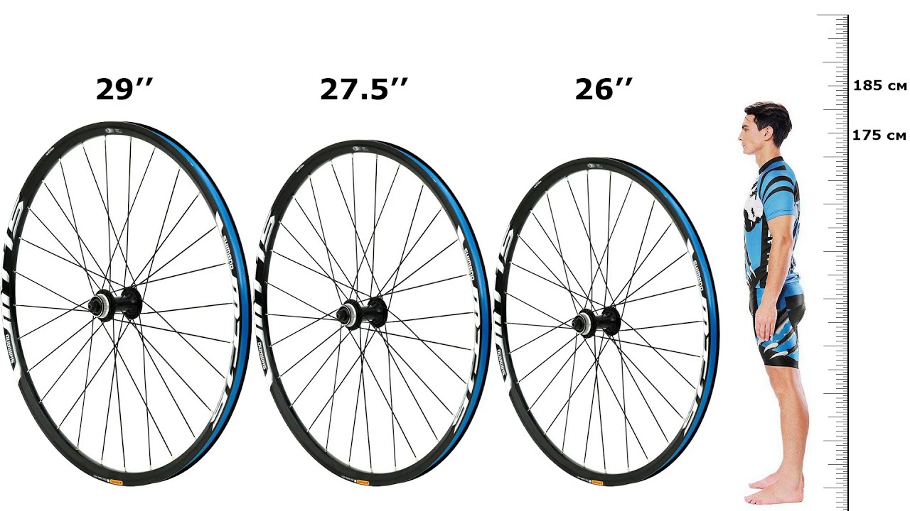 Выбор размера велосипедного колеса